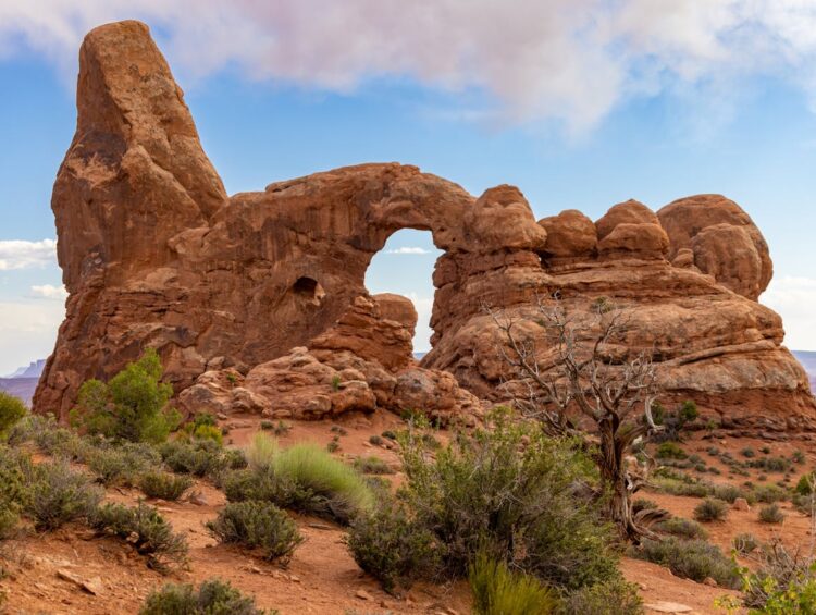 Rocks in Arches National Park USA